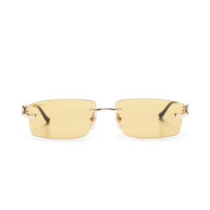 Monochromatic Sunglasses