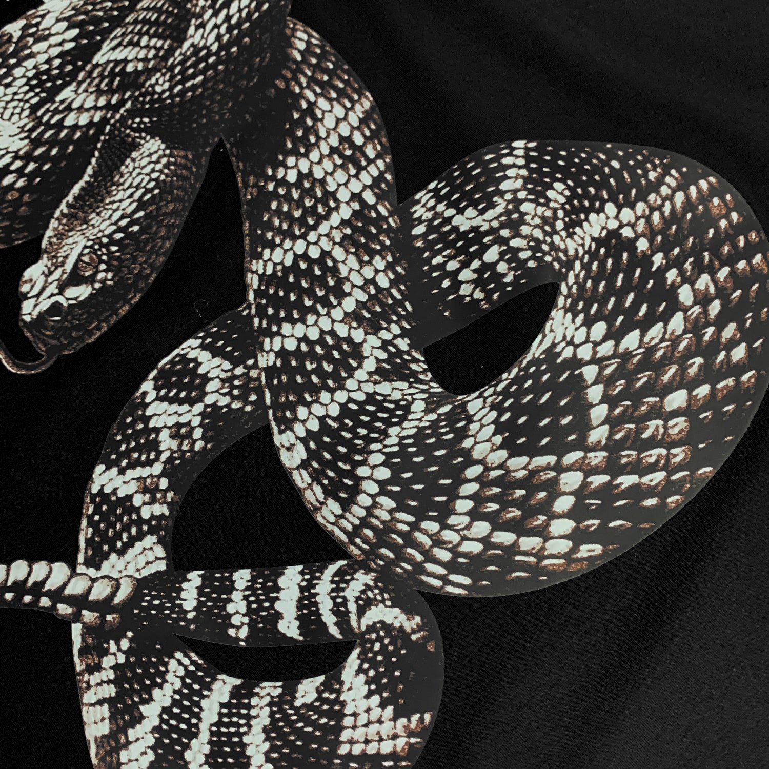Amr Snake T-shirt - Image 3