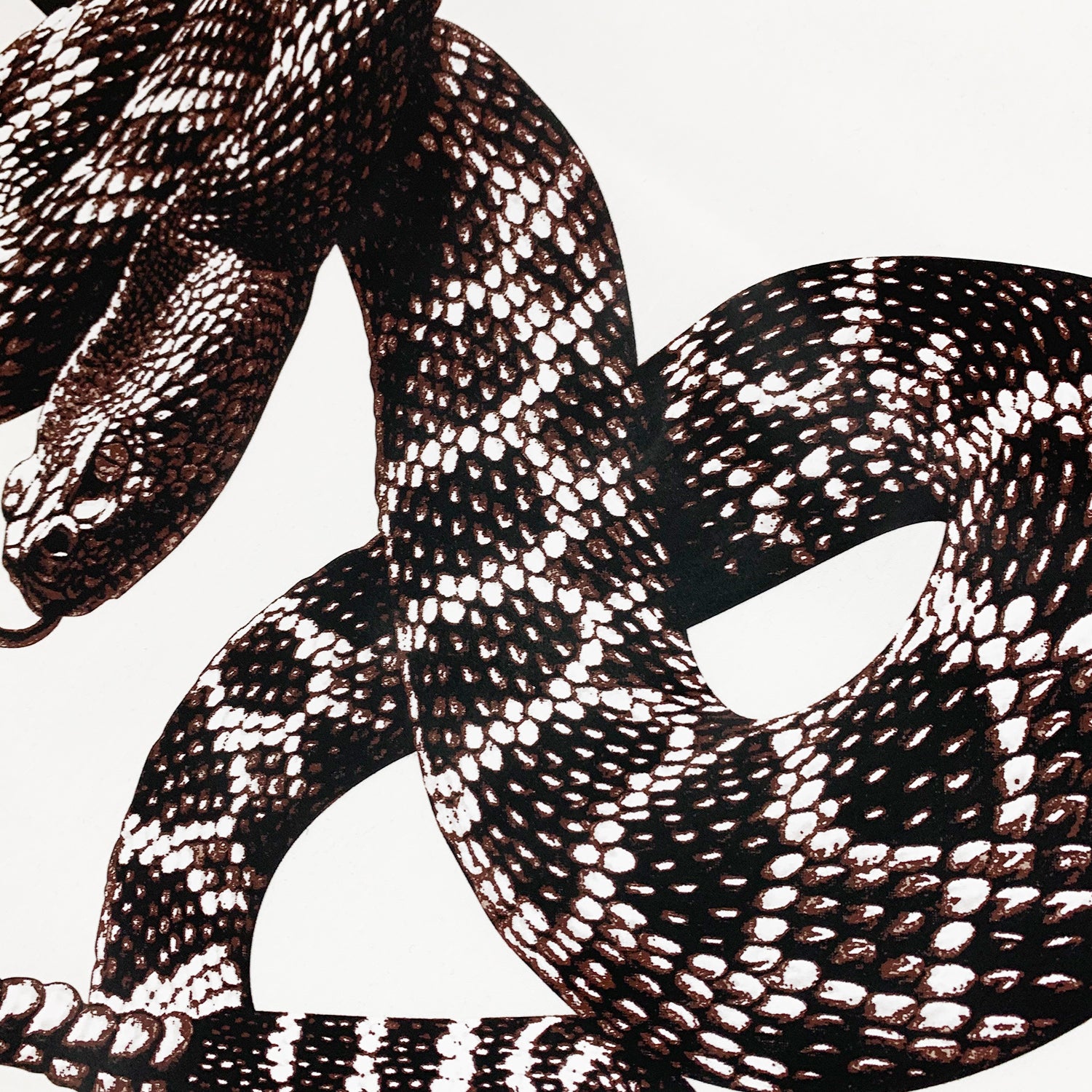 AMR SNAKE T-SHIRT - Image 4